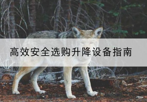 会同升降货梯厂家推荐-*安全选购升降设备指南