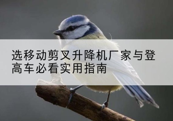 会同电动升降机厂家-选移动剪叉升降机厂家与登高车必看实用指南