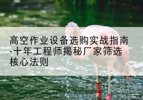 会同剪叉式升降机厂家-高空作业设备选购实战指南-十年工程师揭秘厂家筛选核心法则